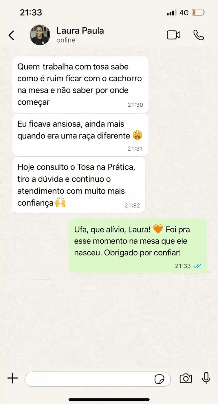 Depoimento de Laura Paula via WhatsApp