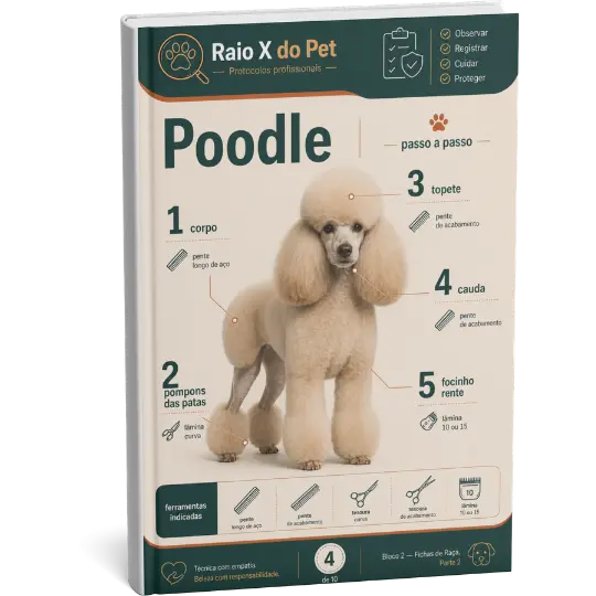 Ficha do Poodle