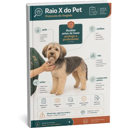 Raio X do Pet: avaliação de chegada