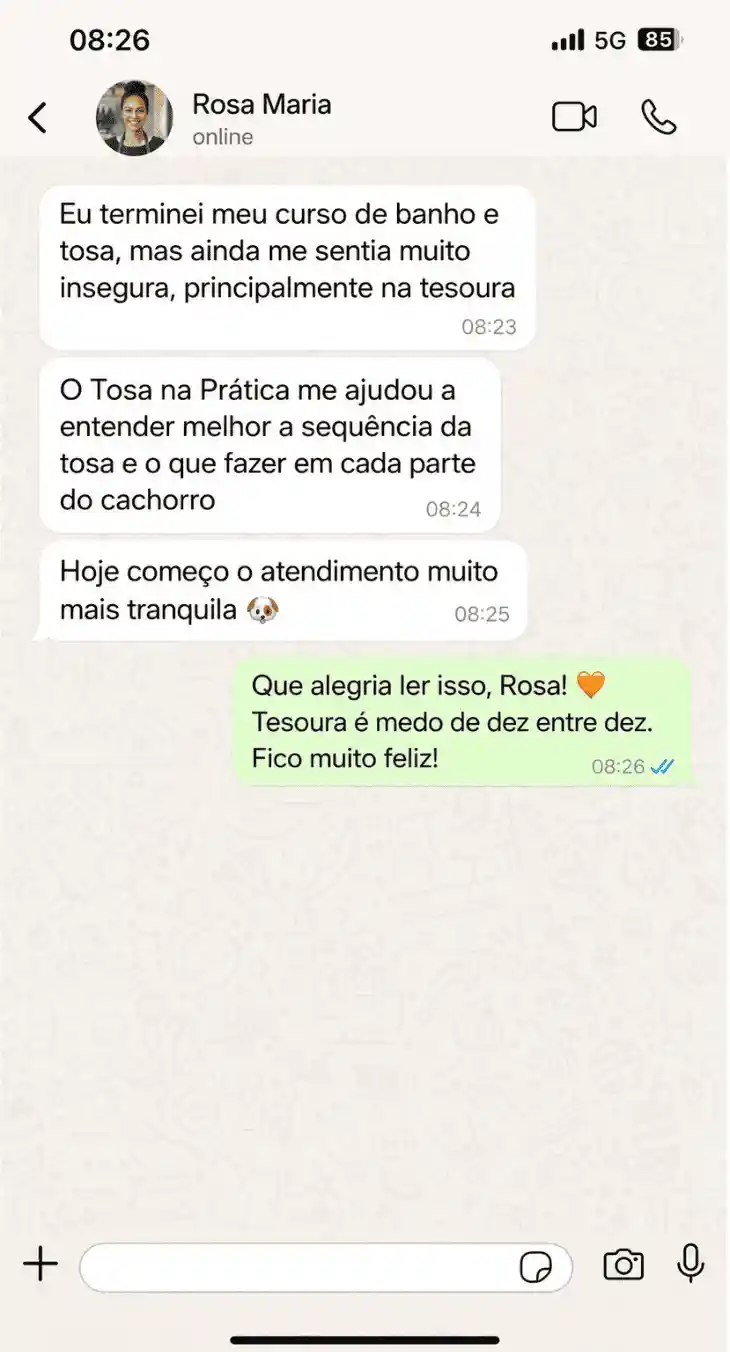 Depoimento de Rosa Maria via WhatsApp