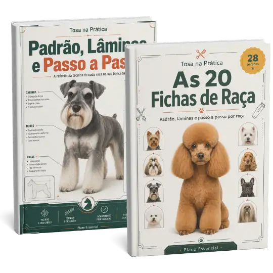 Mockup do Plano Essencial: As 20 Fichas de Raça