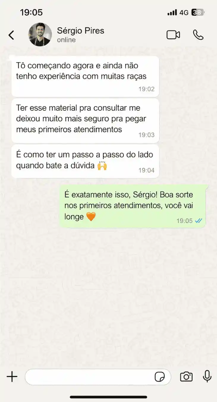 Depoimento de Sérgio Pires via WhatsApp