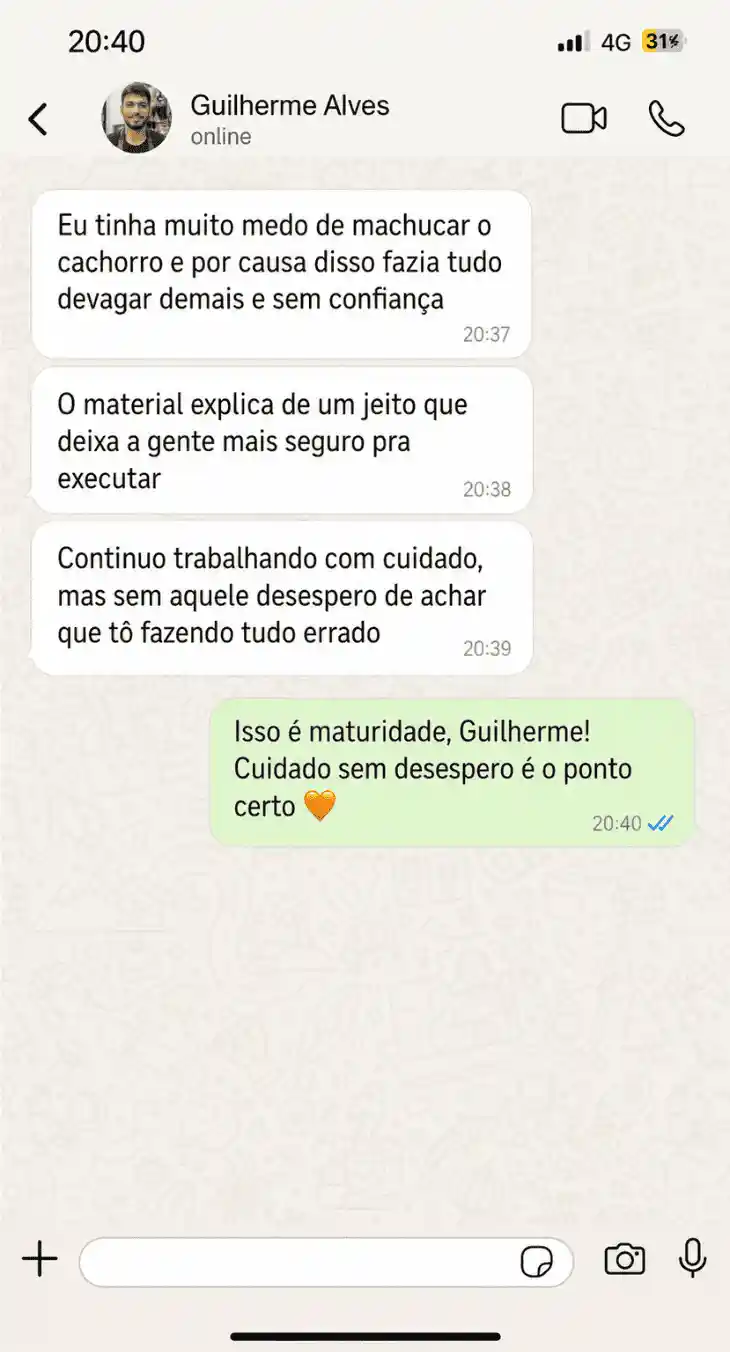 Depoimento de Guilherme Alves via WhatsApp