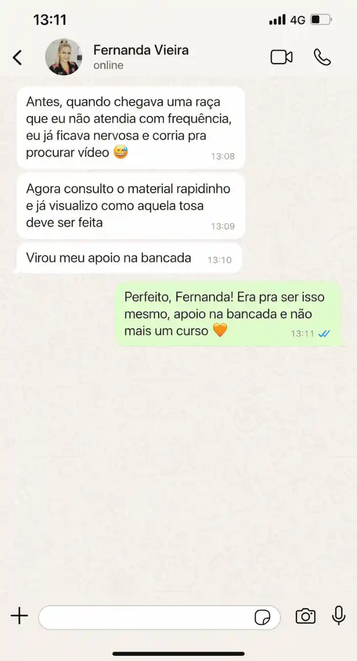 Depoimento de Fernanda Vieira via WhatsApp