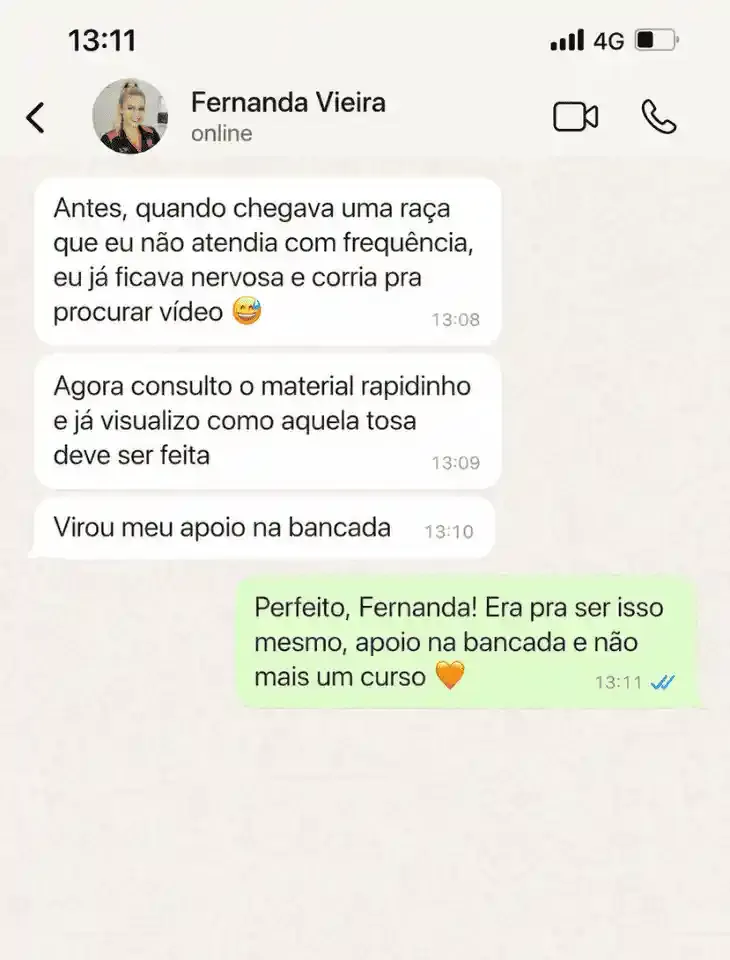 Mensagem de Fernanda Vieira no WhatsApp sobre o kit Tosa na Prática