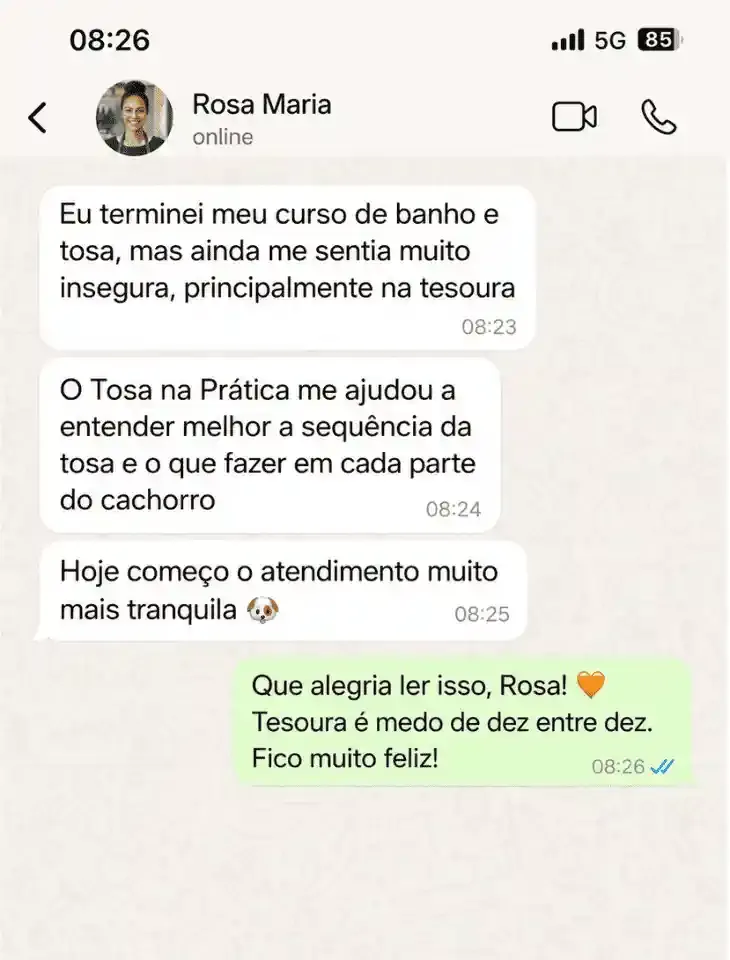 Mensagem de Rosa Maria no WhatsApp sobre o kit Tosa na Prática