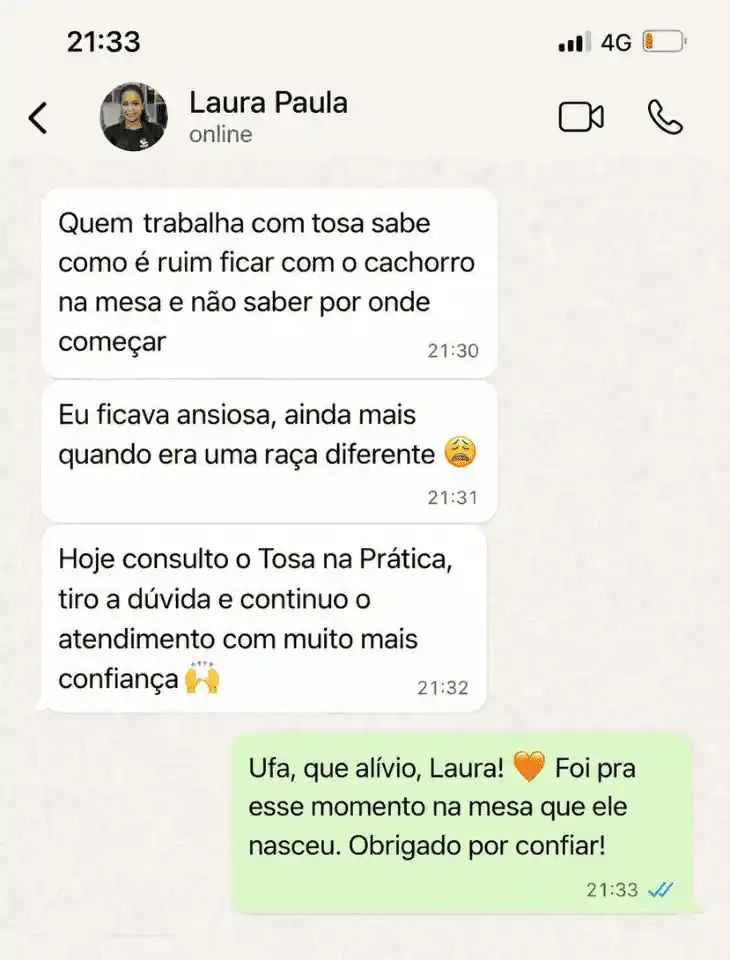 Mensagem de Laura Paula no WhatsApp sobre o kit Tosa na Prática