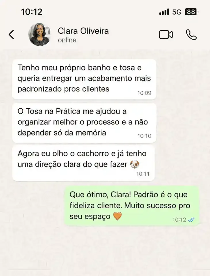 Mensagem de Clara Oliveira no WhatsApp sobre o kit Tosa na Prática