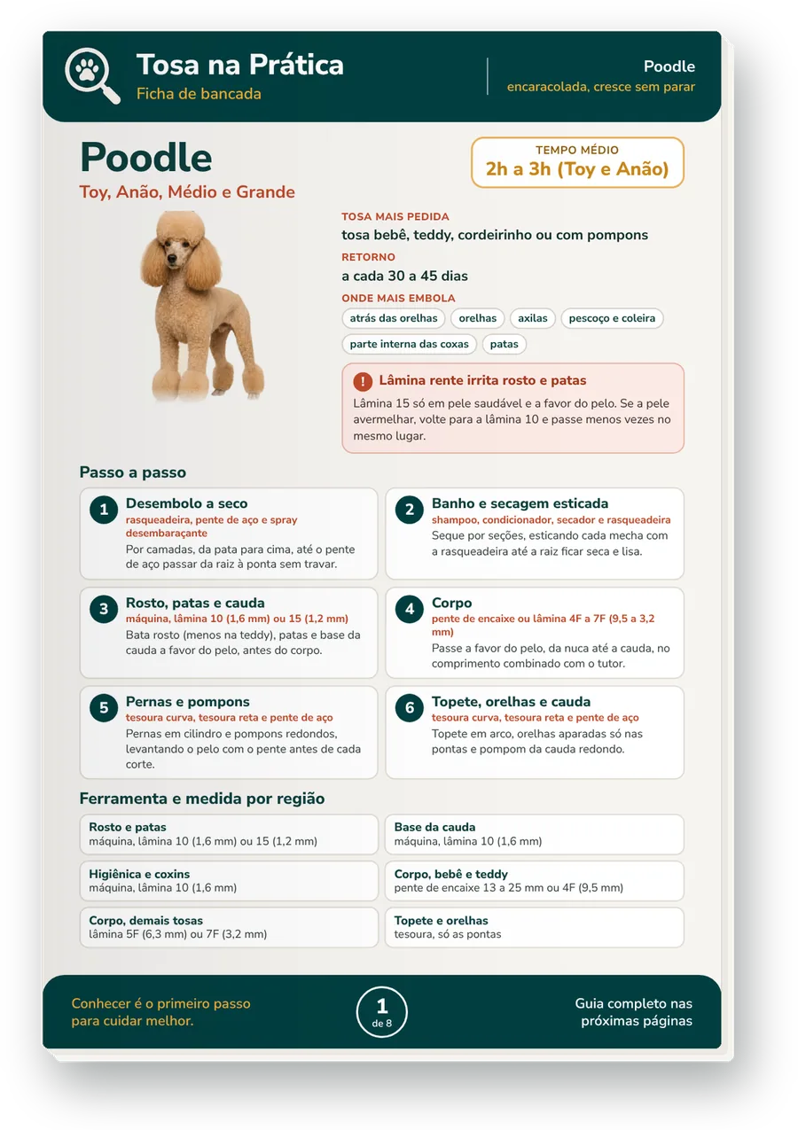 Ficha de bancada do Poodle