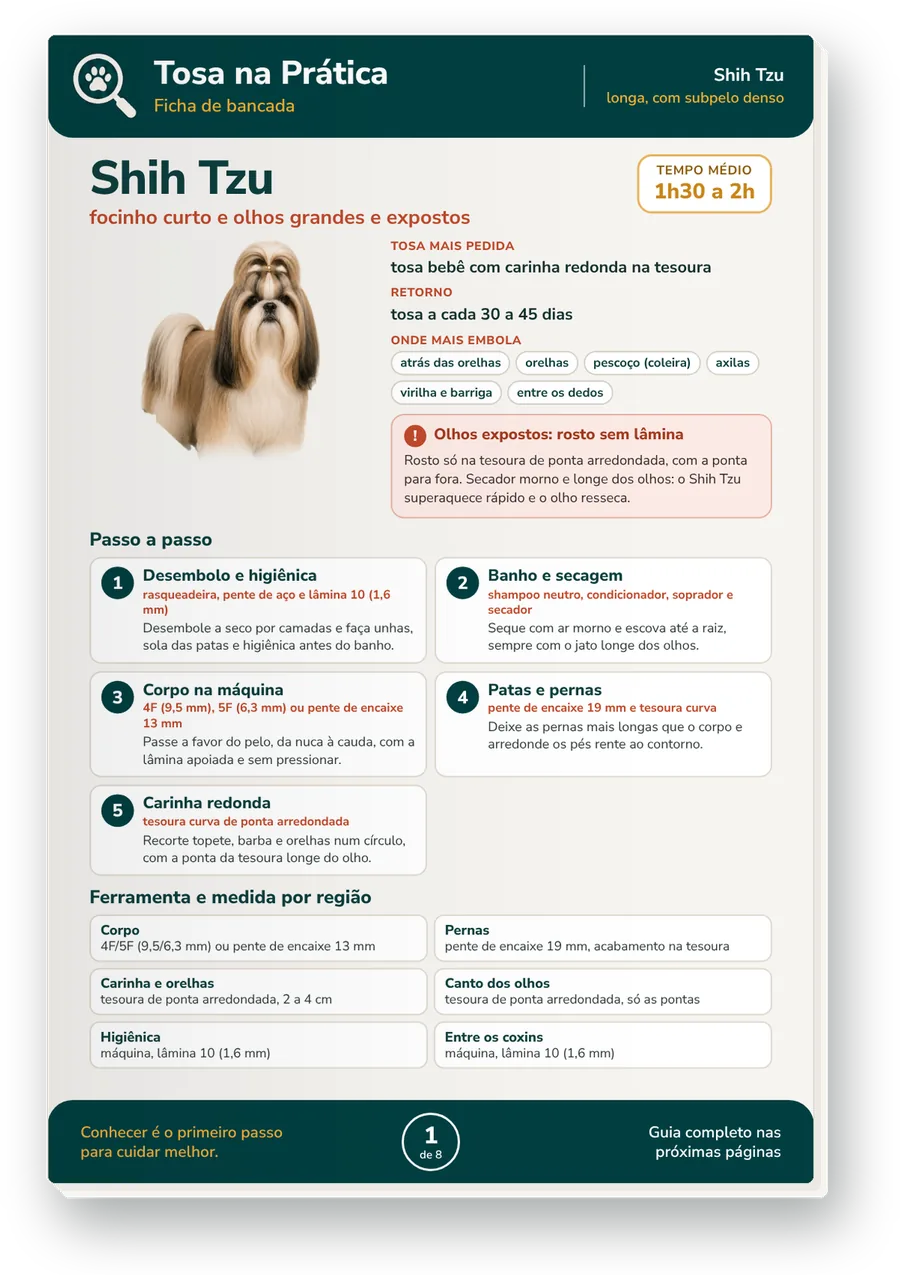 Ficha de bancada do Shih Tzu