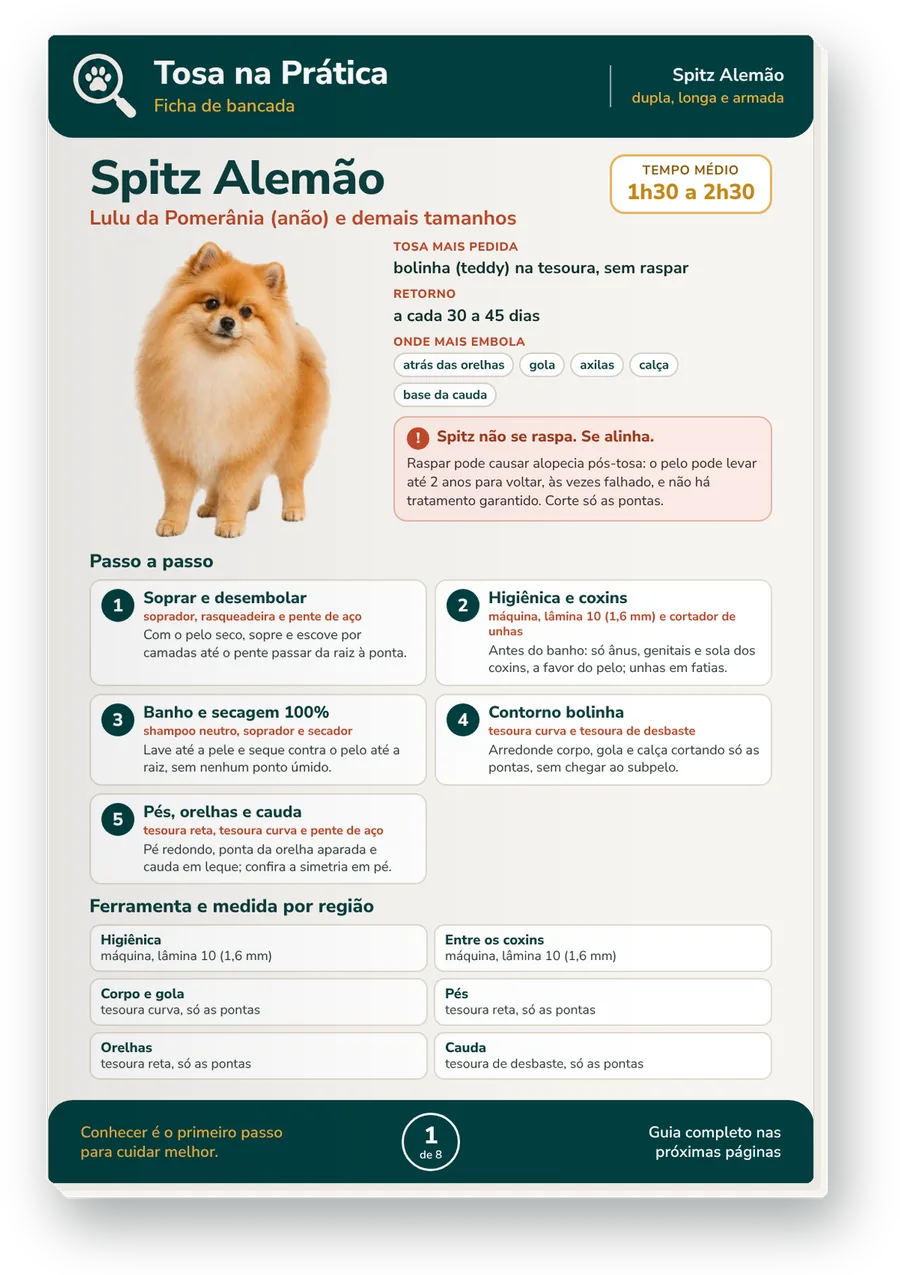 Ficha de bancada do Spitz