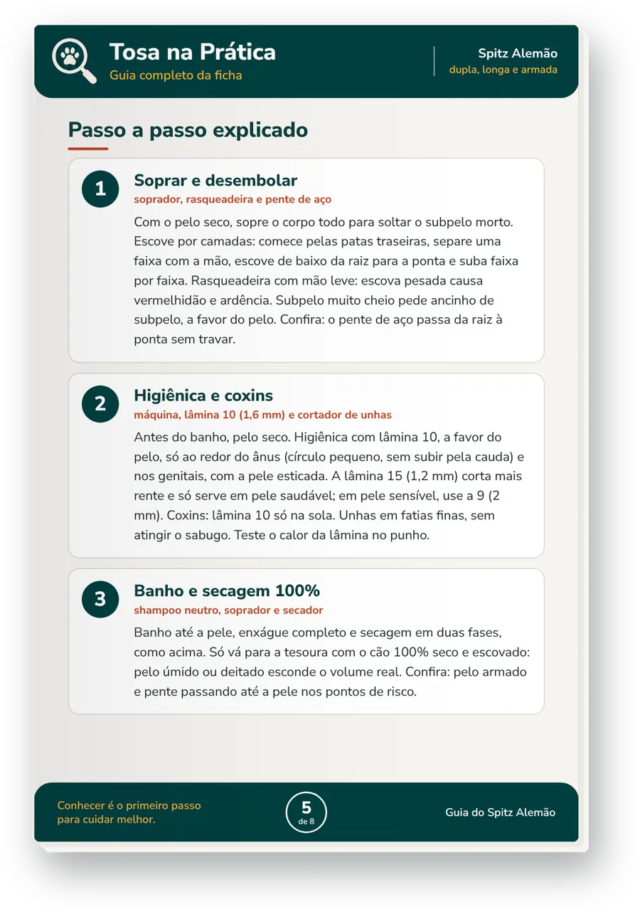 Guia completo da raça